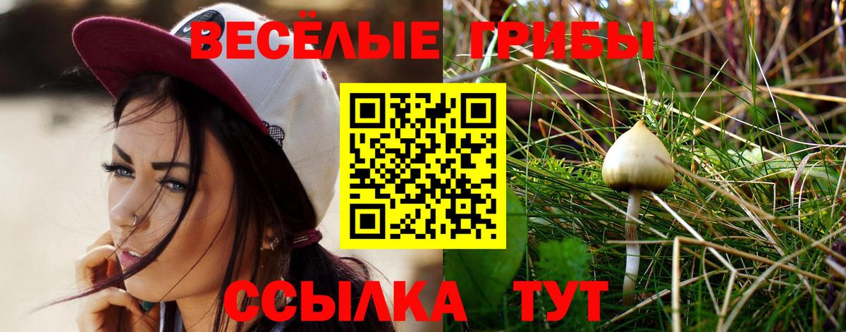 Псилоцибиновые грибы Magic Shrooms  Вход с VPN  Лесозаводск 