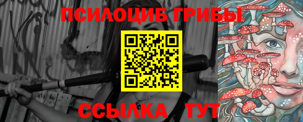 Галлюциногенные грибы Psilocybine cubensis Лесозаводск